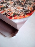 Der Pizzakarton 048